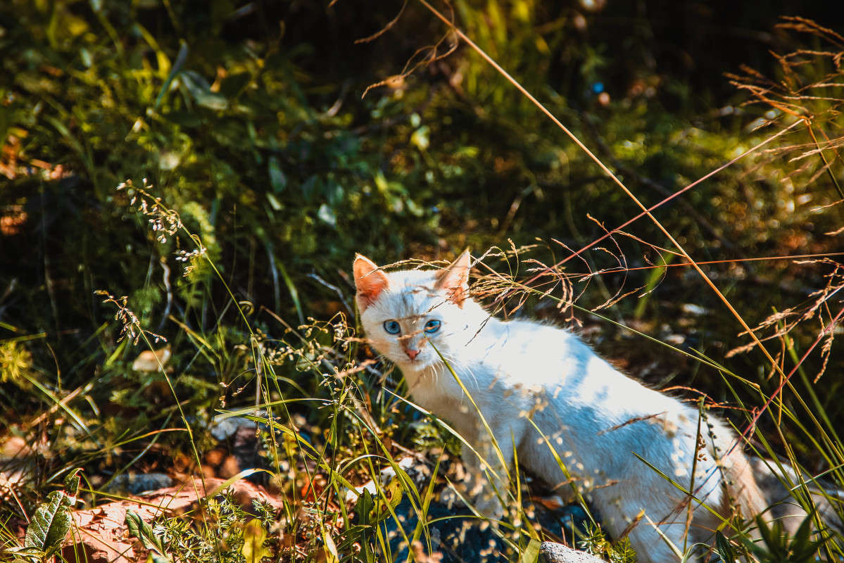 ... ����� Anastasia Aleksandrovna �� PhotoGeek.ru #�������� ��� #������ ��� �������