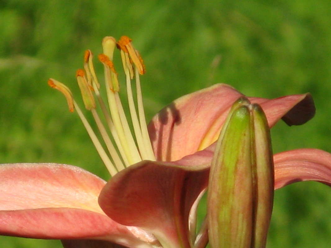 ����� (�����) ����� ������� ��������� �� PhotoGeek.ru #������ ��� �������