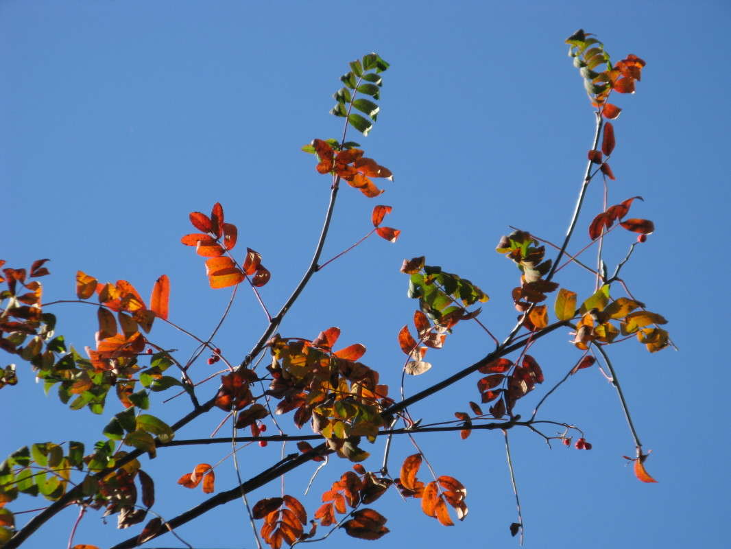 �����, ������ � ���� ����� ������� ��������� �� PhotoGeek.ru #������ ��� �������