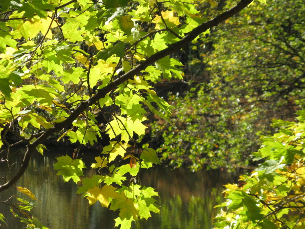 ��� � ����� ����� ������� ��������� �� PhotoGeek.ru #������ ��� �������