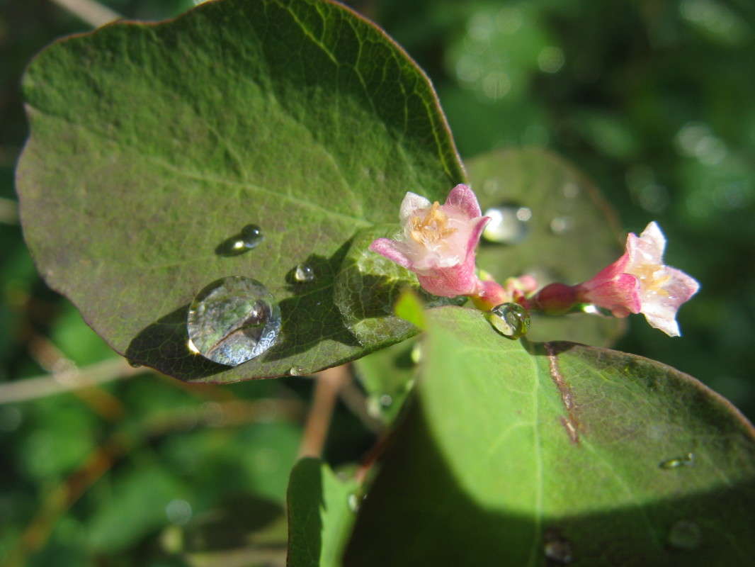 ����� ����� (�����) ����� ������� ��������� �� PhotoGeek.ru #����� #������ ��� ������� #����� ��������������