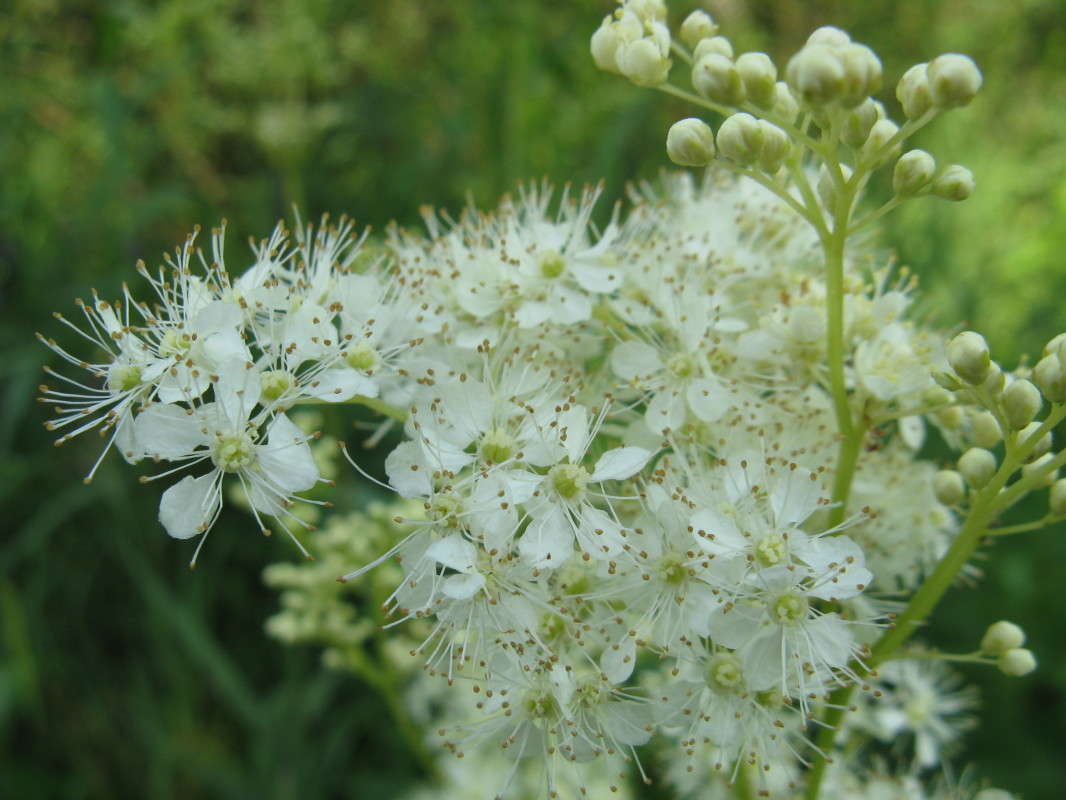 ����� ����� ����� ������� ��������� �� PhotoGeek.ru #����� #������ ��� ������� #����� ��������������