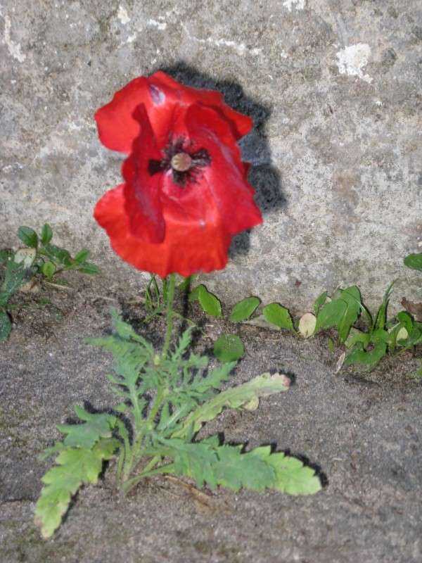 ��� VS ������� ����� ������� ��������� �� PhotoGeek.ru #������ ��� ������� #����� ��������������