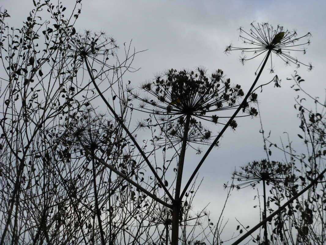 �������� ����� ������� ��������� �� PhotoGeek.ru #������ ��� �������