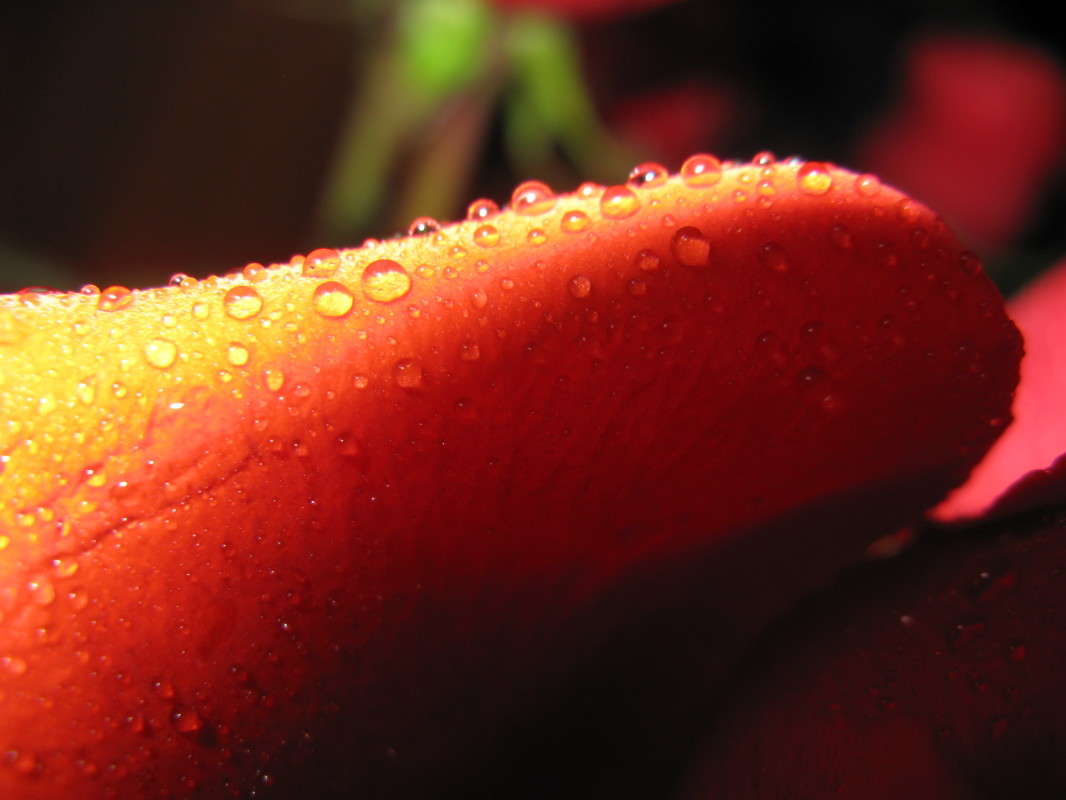 ����� �� �������� ���� ����� ������� ��������� �� PhotoGeek.ru #�����