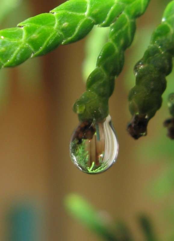 ������������ ��� ����� ������� ��������� �� PhotoGeek.ru #����� #����� ��������������