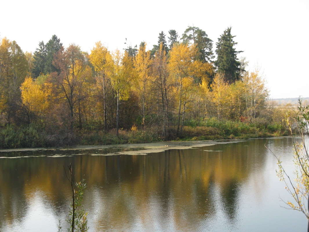 ���� ��� ������� ����� ������� ��������� �� PhotoGeek.ru #������ ��� �������