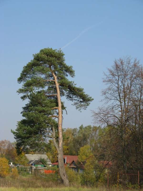 ����� ����� ������� ��������� �� PhotoGeek.ru #������ ��� �������