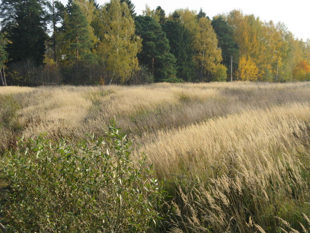 ������� ����� ������� ��������� �� PhotoGeek.ru #������ ��� ������� #����� ��������������