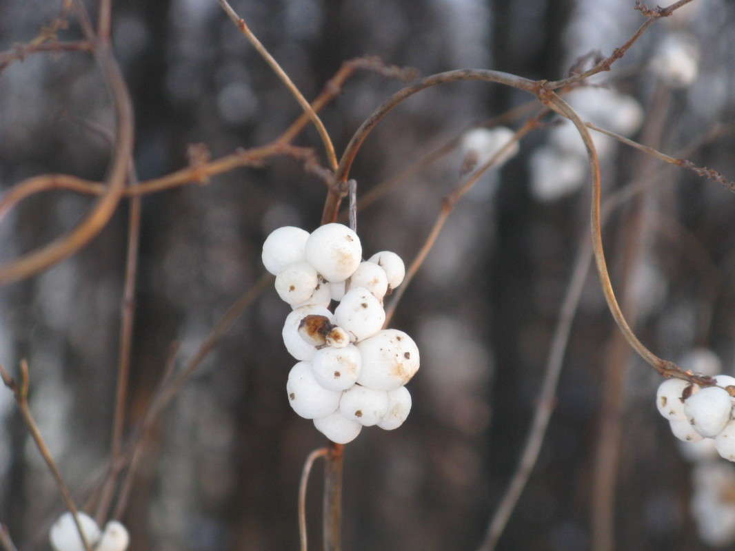 ����. ������������� ����� ������� ��������� �� PhotoGeek.ru #����� #������ ��� �������