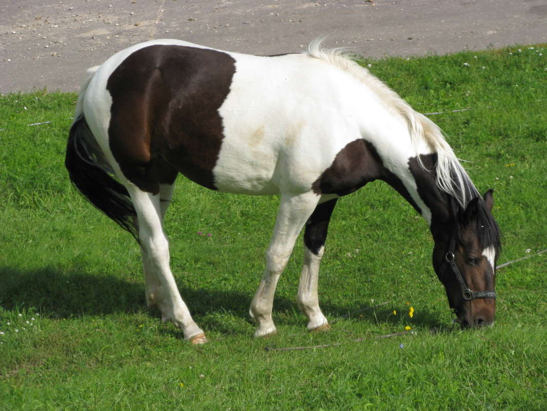 ������ ����� ������� ��������� �� PhotoGeek.ru #�������� ���