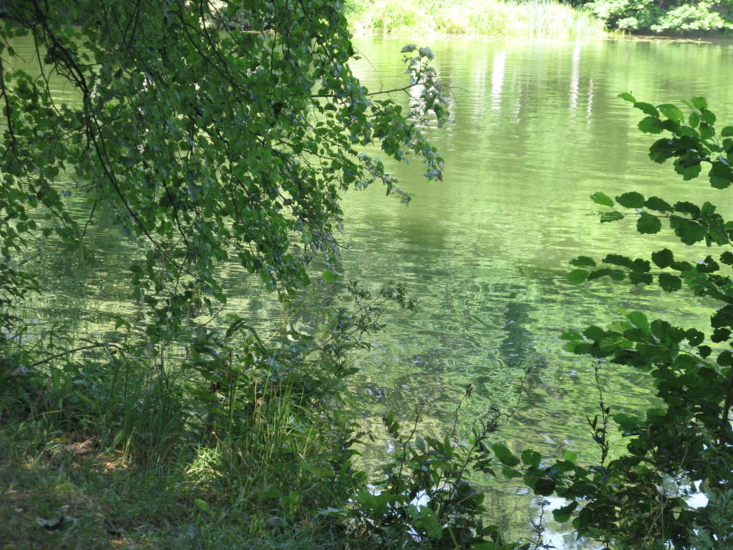 ���� ����� ������� ��������� �� PhotoGeek.ru #������ ��� ������� #����� ��������������