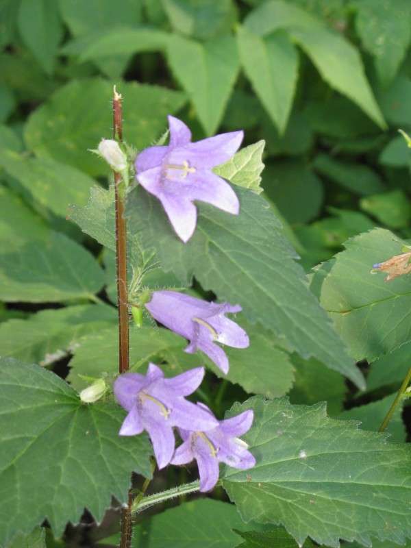 ������������ ����� ������� ��������� �� PhotoGeek.ru #������ ��� ������� #����� ��������������