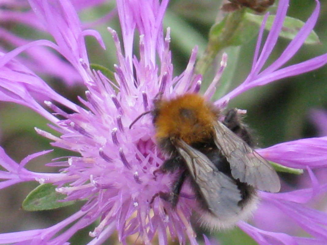 ����� ����� ������� ��������� �� PhotoGeek.ru #����� #������ ��� �������