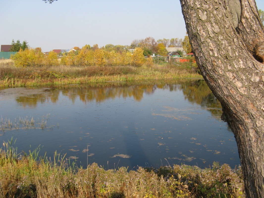 ��������. ����� ����� ������� ��������� �� PhotoGeek.ru #������ ��� �������