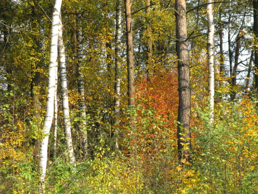 ������� ��� ����� ������� ��������� �� PhotoGeek.ru #������ ��� �������