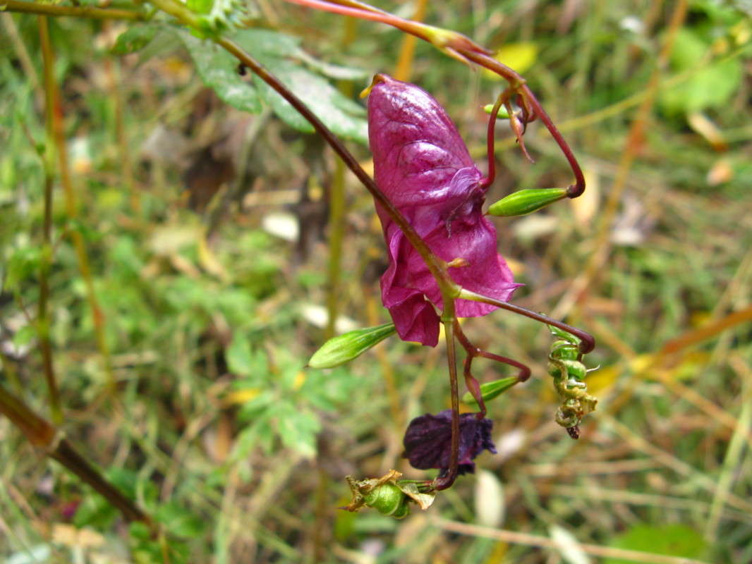 �������� ����� ������� ��������� �� PhotoGeek.ru