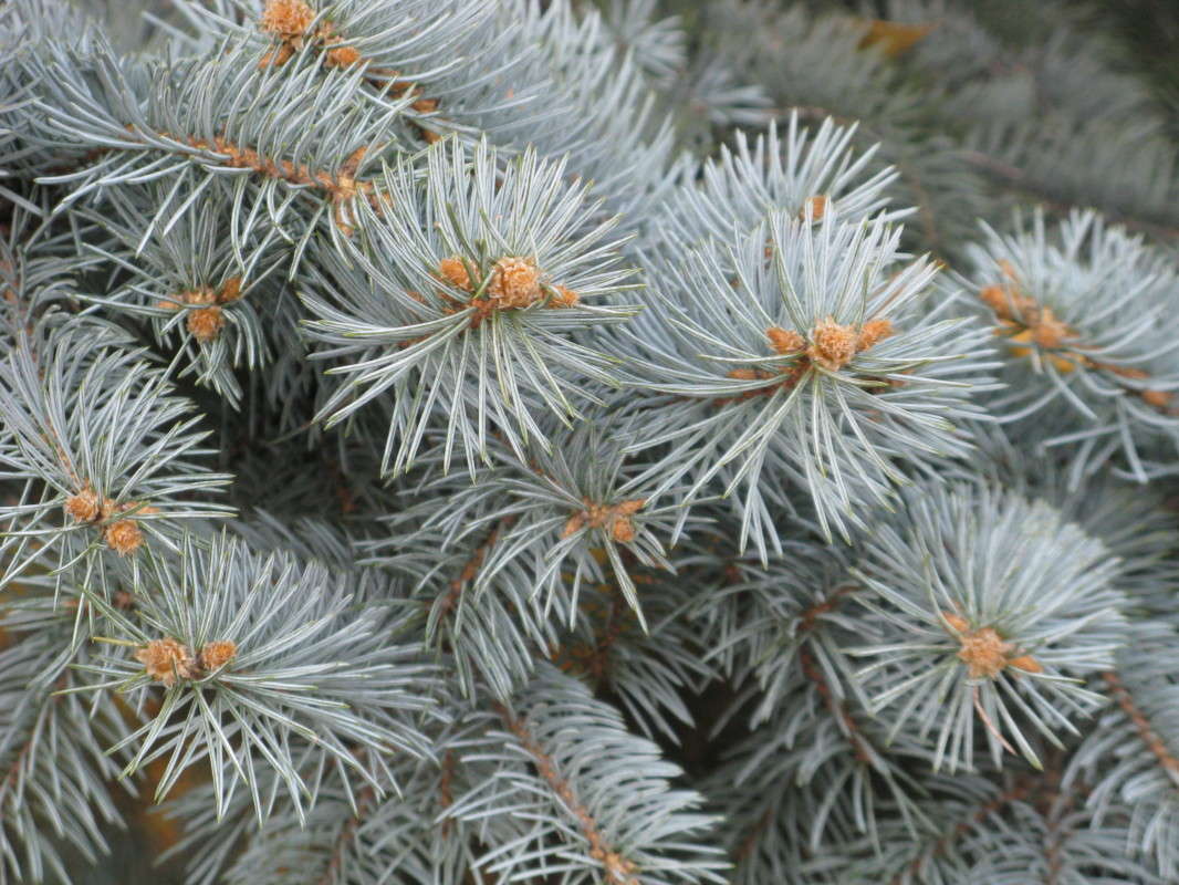 ���� ����� ������� ��������� �� PhotoGeek.ru #����� #������ ��� ������� #����� ��������������