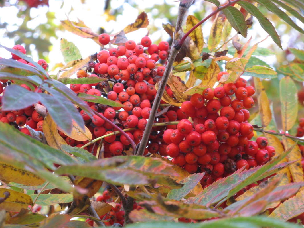 ������� ������ ����� ������� ��������� �� PhotoGeek.ru #����� #������ ��� �������