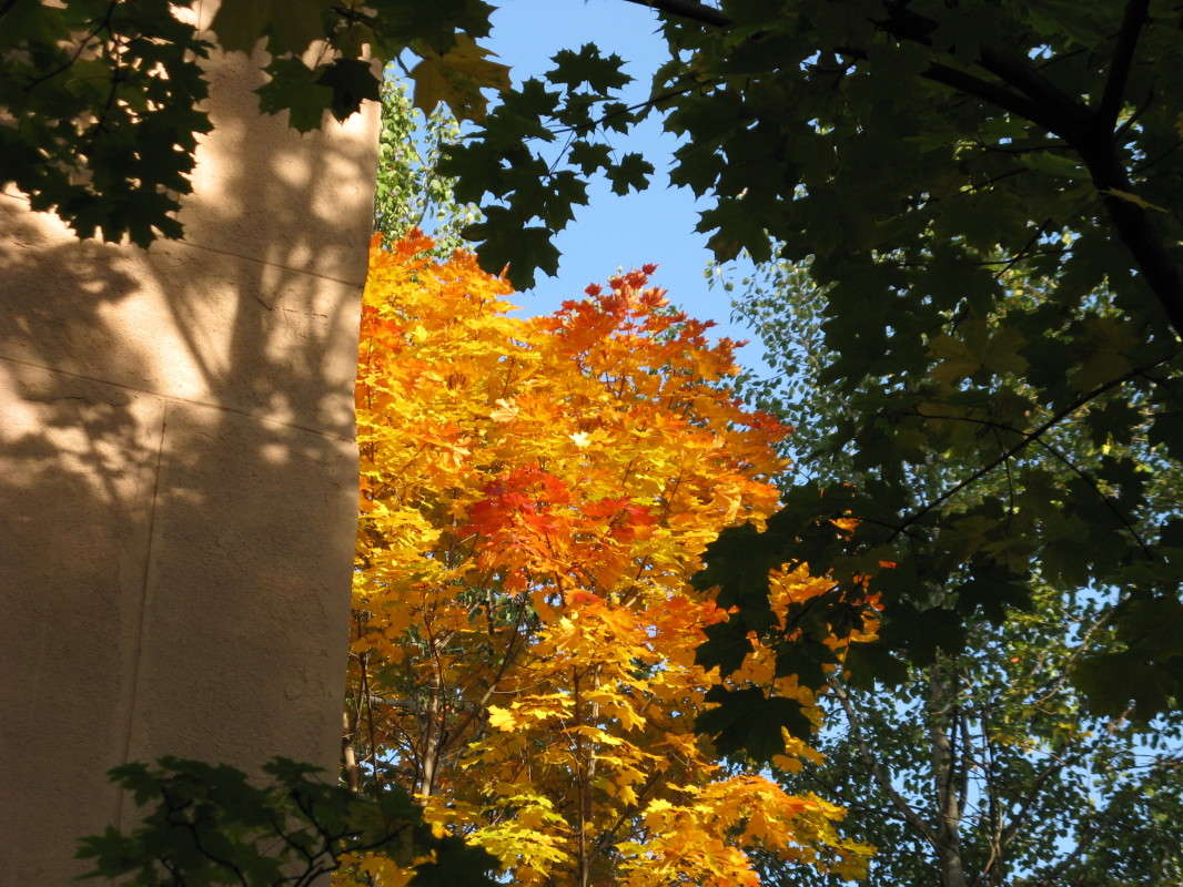 ���� ����� ������� ��������� �� PhotoGeek.ru #������ ��� ������� #����� ��������������