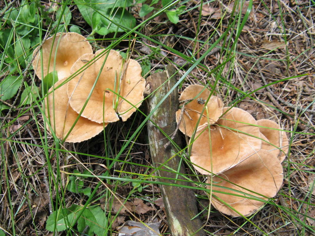 ������� ����� ������� ��������� �� PhotoGeek.ru #������ ��� �������