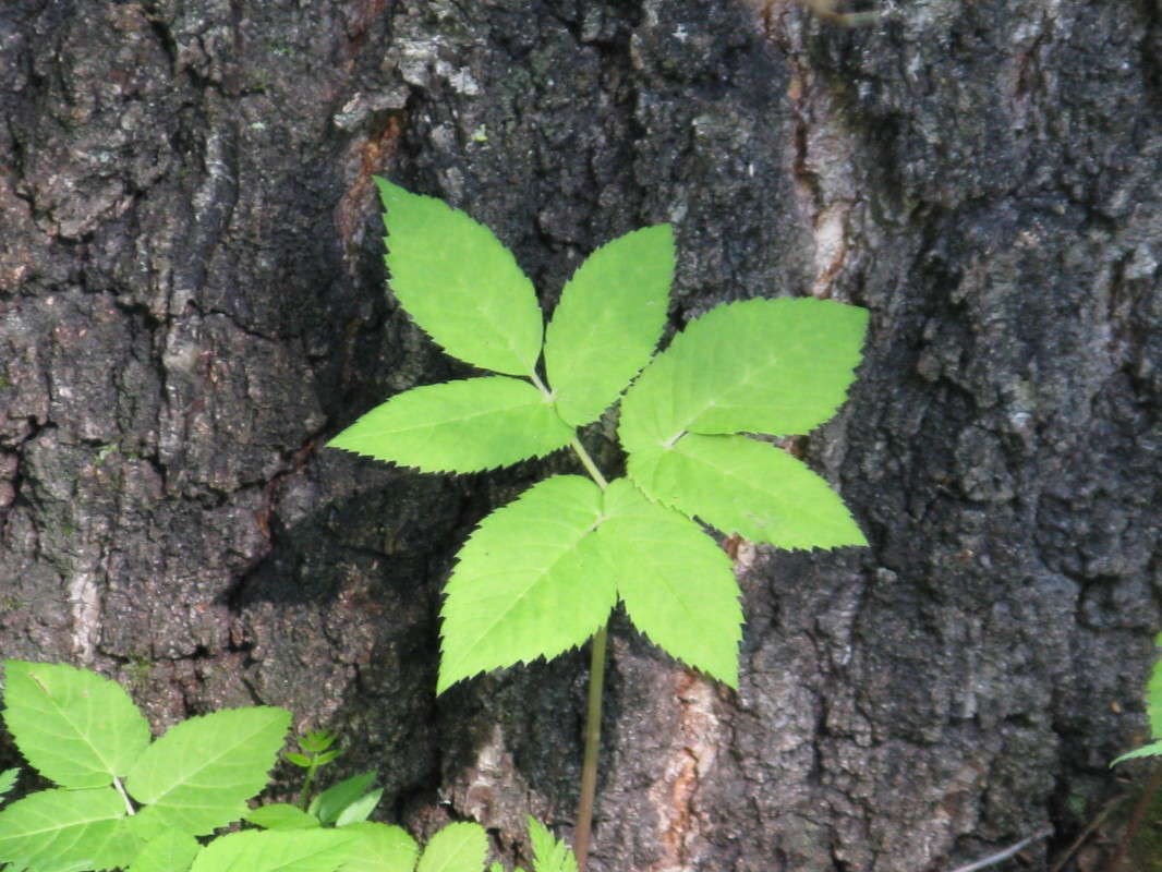 ������� � ������ ����� ������� ��������� �� PhotoGeek.ru #������ ��� ������� #����� ��������������