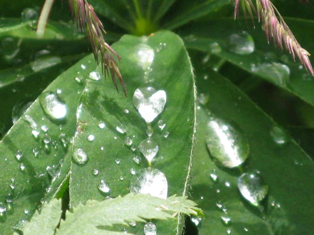 ������������� ������� ����� ������� ��������� �� PhotoGeek.ru #����� #������ ��� ������� #����� ��������������