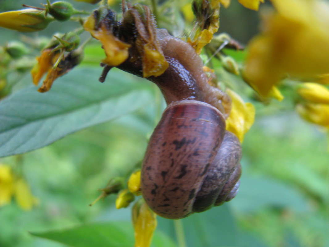 ����� �����. ������ ����� ������� ��������� �� PhotoGeek.ru #����� #������ ��� �������