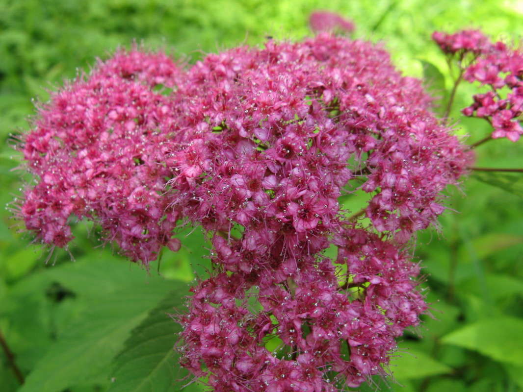 �������� ����� ����� ������� ��������� �� PhotoGeek.ru #����� #������ ��� ������� #����� ��������������