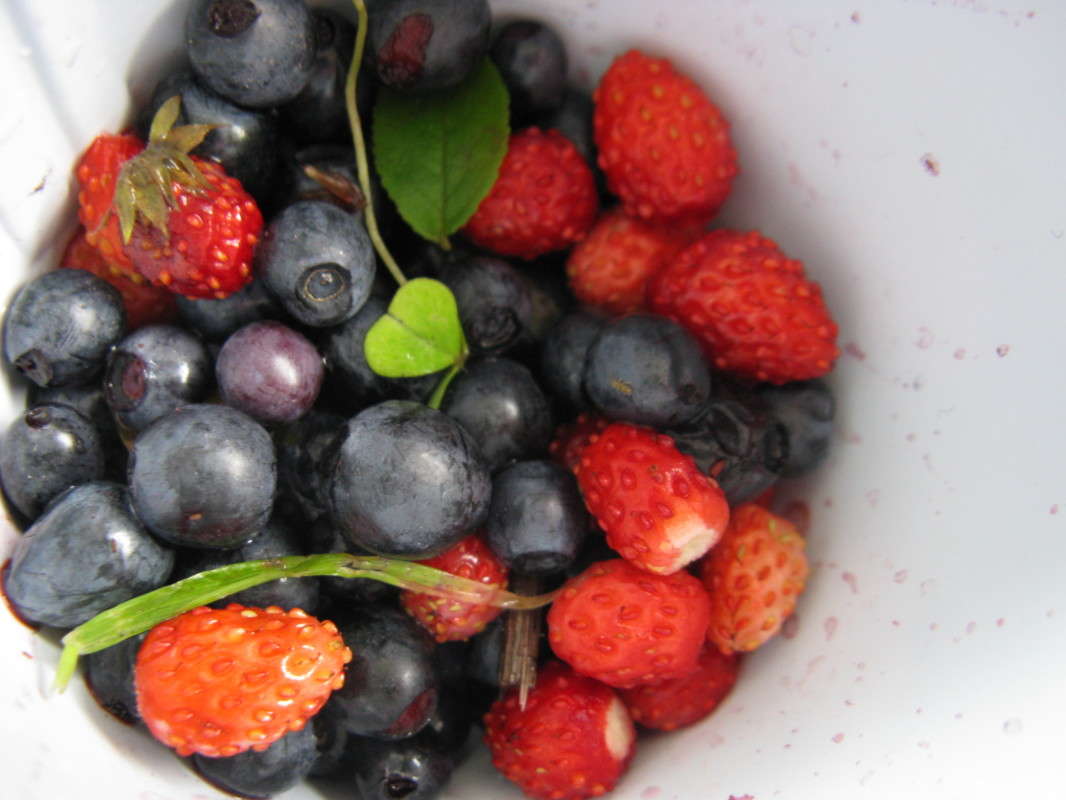 ���� ���� ����� ������� ��������� �� PhotoGeek.ru #����� #���������