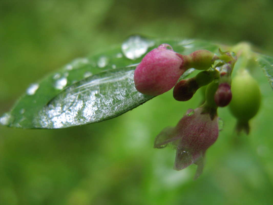 ����� ����� ������� ��������� �� PhotoGeek.ru #����� #������ ��� ������� #����� ��������������