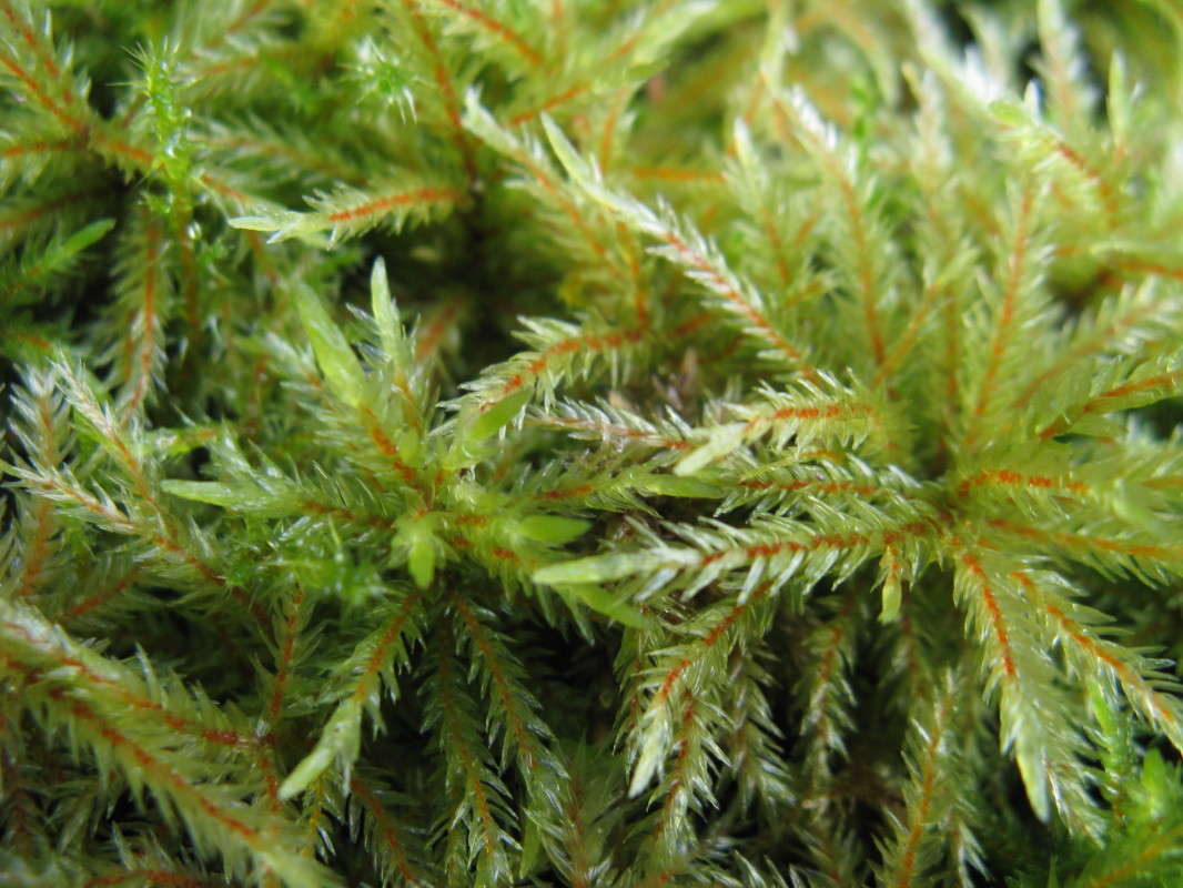 ��� ����� ������� ��������� �� PhotoGeek.ru #����� #������ ��� ������� #����� ��������������