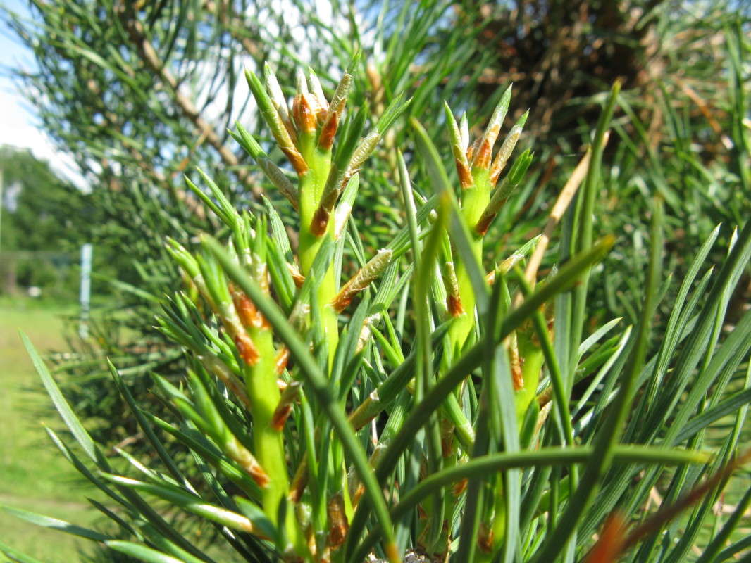 ���� ����� ������� ��������� �� PhotoGeek.ru #����� #������ ��� ������� #����� ��������������