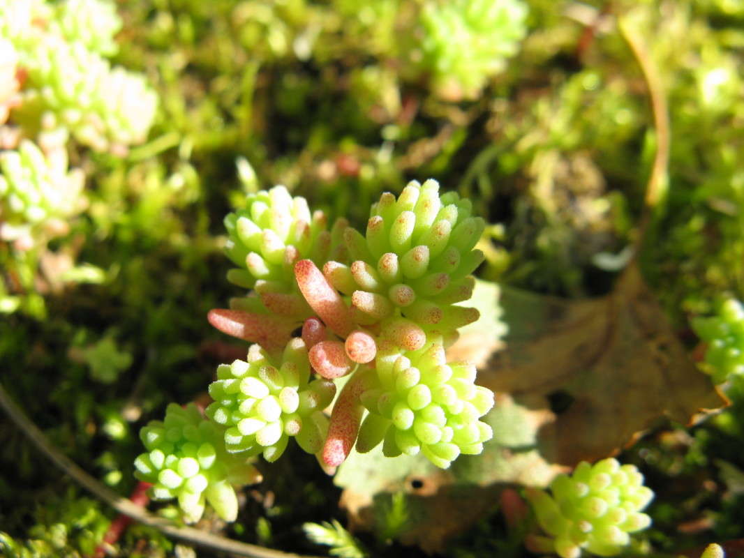 �������� ����� ������� ��������� �� PhotoGeek.ru #����� #������ ��� ������� #����� ��������������