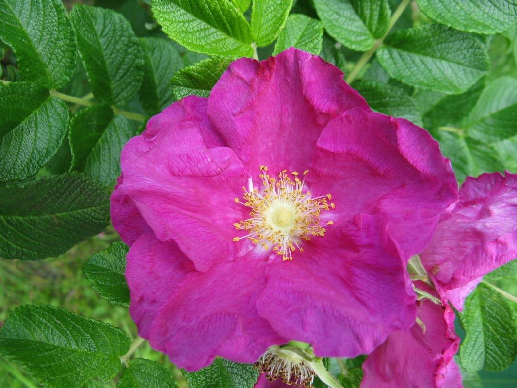 �������� ����� ������� ��������� �� PhotoGeek.ru #������ ��� ������� #����� ��������������