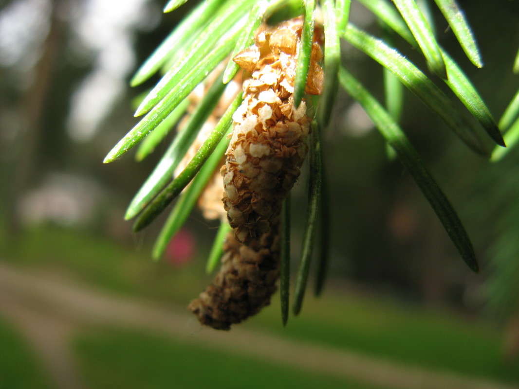 ������� ����� ������� ��������� �� PhotoGeek.ru #����� #������ ��� ������� #����� ��������������