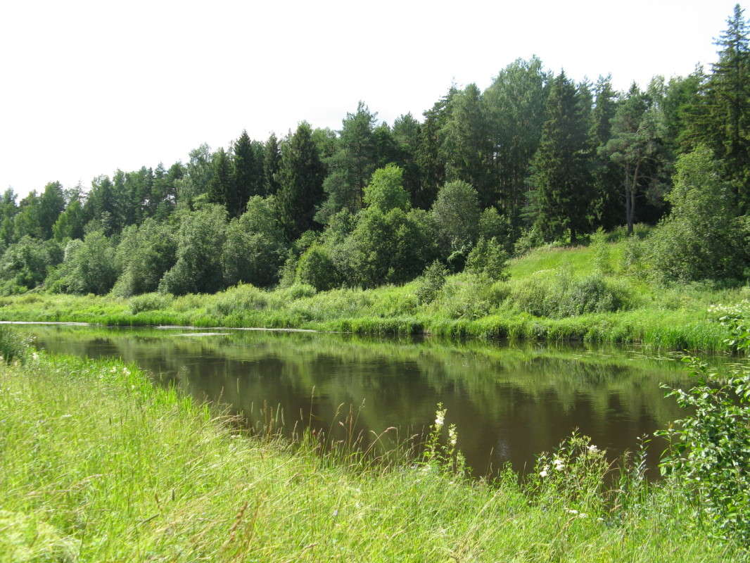 ��� �� �. ����� ����� ������� ��������� �� PhotoGeek.ru #������ ��� ������� #����� �������������� #��������