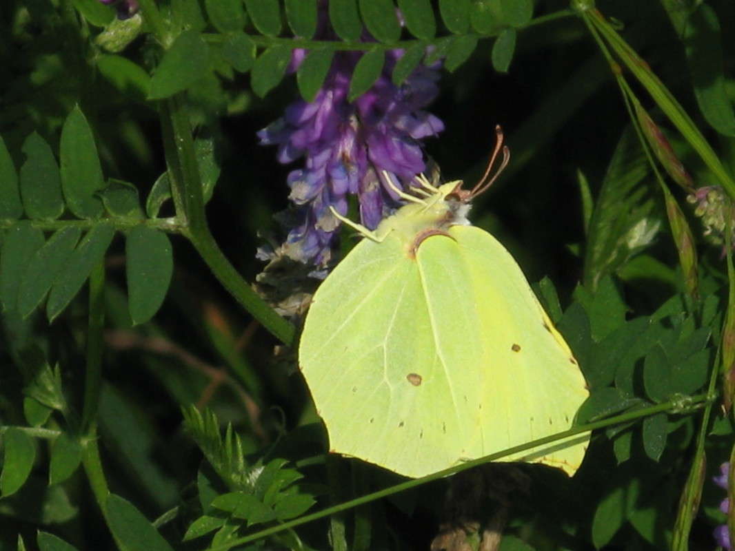 ��������� ����� ������� ��������� �� PhotoGeek.ru #����� #�������� ��� #���������