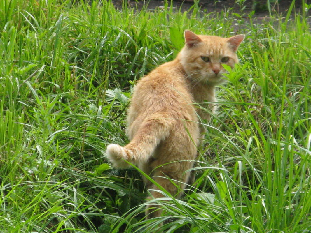 ������� ����� ������� ��������� �� PhotoGeek.ru #�������� ���