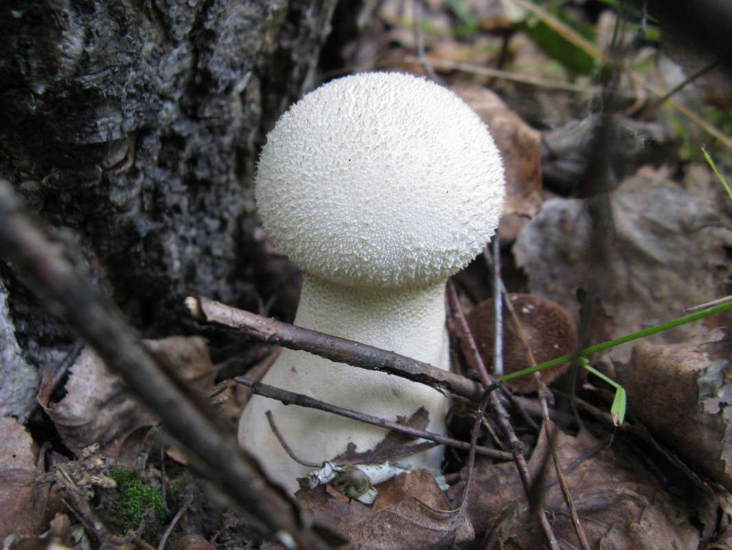 �������� ����� ������� ��������� �� PhotoGeek.ru #����� #������ ��� �������