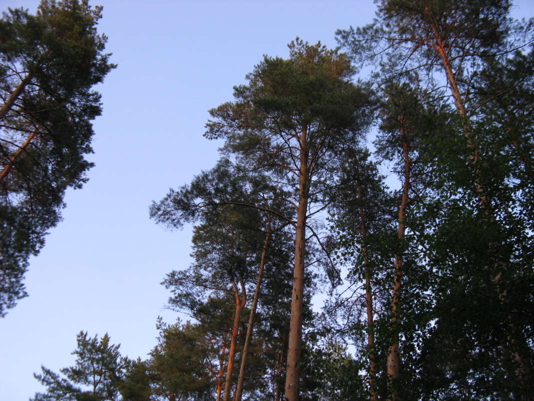 ����� ����� ������� ��������� �� PhotoGeek.ru #������ ��� ������� #����� ��������������