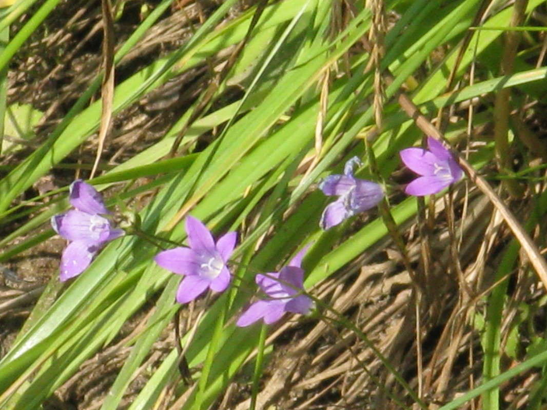 � ���� ����� ������� ��������� �� PhotoGeek.ru #����� #������ ��� �������