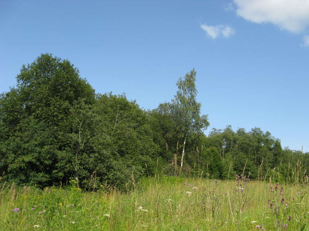 ����! ����� ������� ��������� �� PhotoGeek.ru #������ ��� ������� #����� ��������������