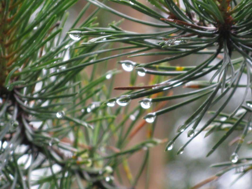 �����. ����� ����� ����� ������� ��������� �� PhotoGeek.ru #����� #������ ��� ������� #����� ��������������