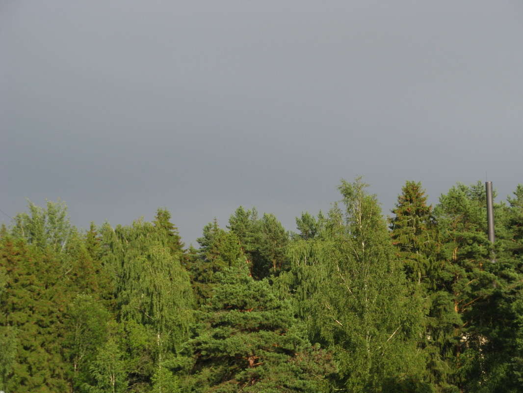 ����� � ������ ����� ������� ��������� �� PhotoGeek.ru #������ ��� �������