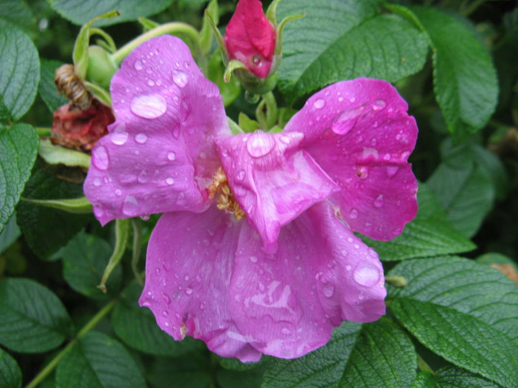 ������ �������� ����� ������� ��������� �� PhotoGeek.ru #����� #������ ��� �������