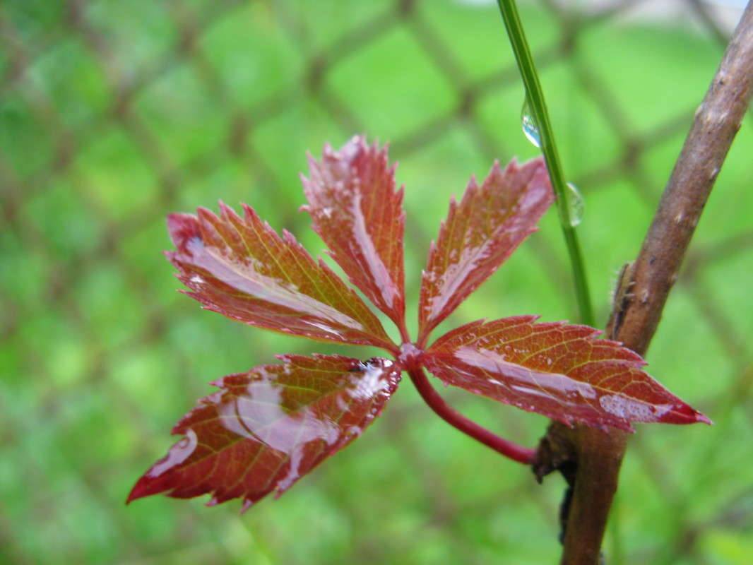 ������� �������� ����� �����. ������� ������ ����� ������� ��������� �� PhotoGeek.ru #����� #������ ��� ������� #����� ��������������