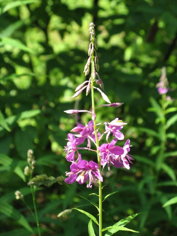 ����-��� ����� ������� ��������� �� PhotoGeek.ru #����� #������ ��� ������� #����� ��������������