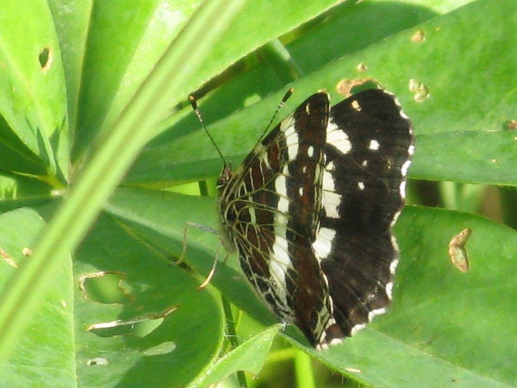 ������� ����� ������� ��������� �� PhotoGeek.ru #����� #�������� ��� #���������