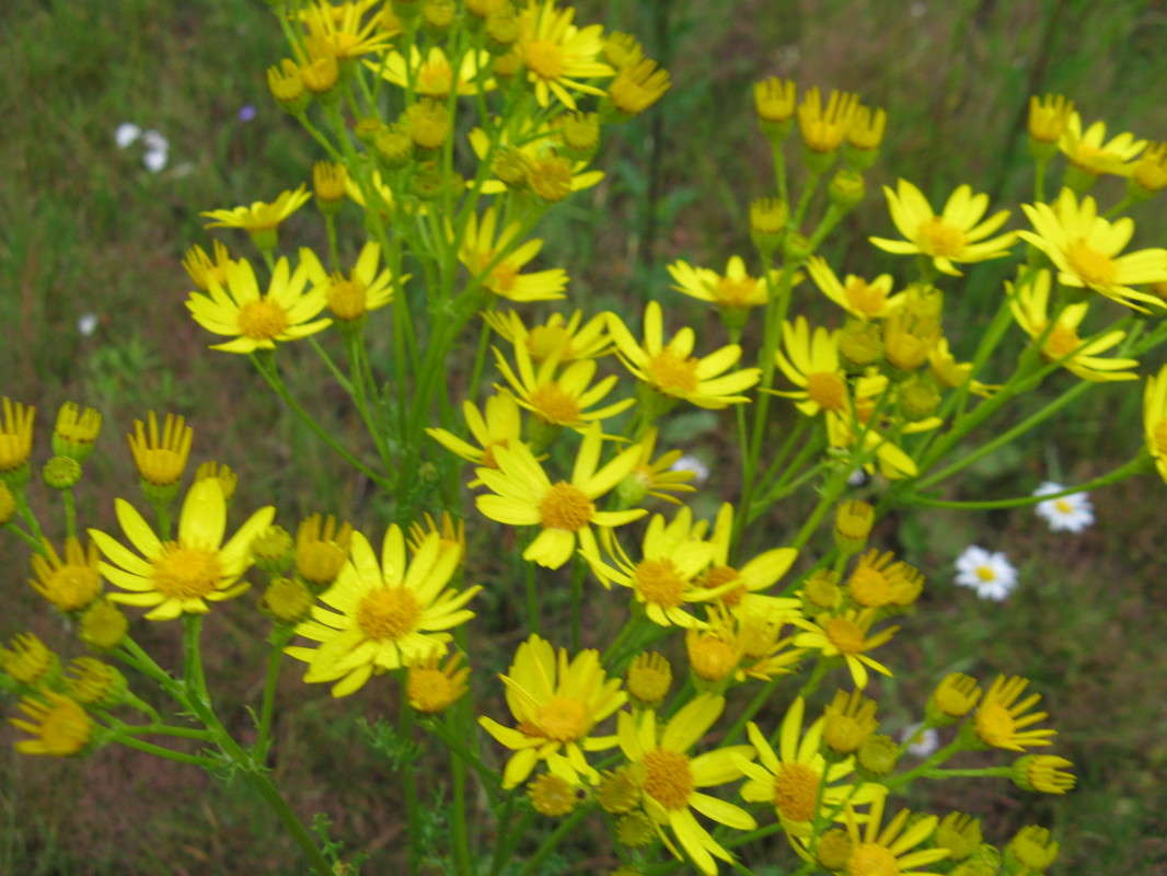 ���������� ����� ������� ��������� �� PhotoGeek.ru #����� #������ ��� ������� #����� ��������������